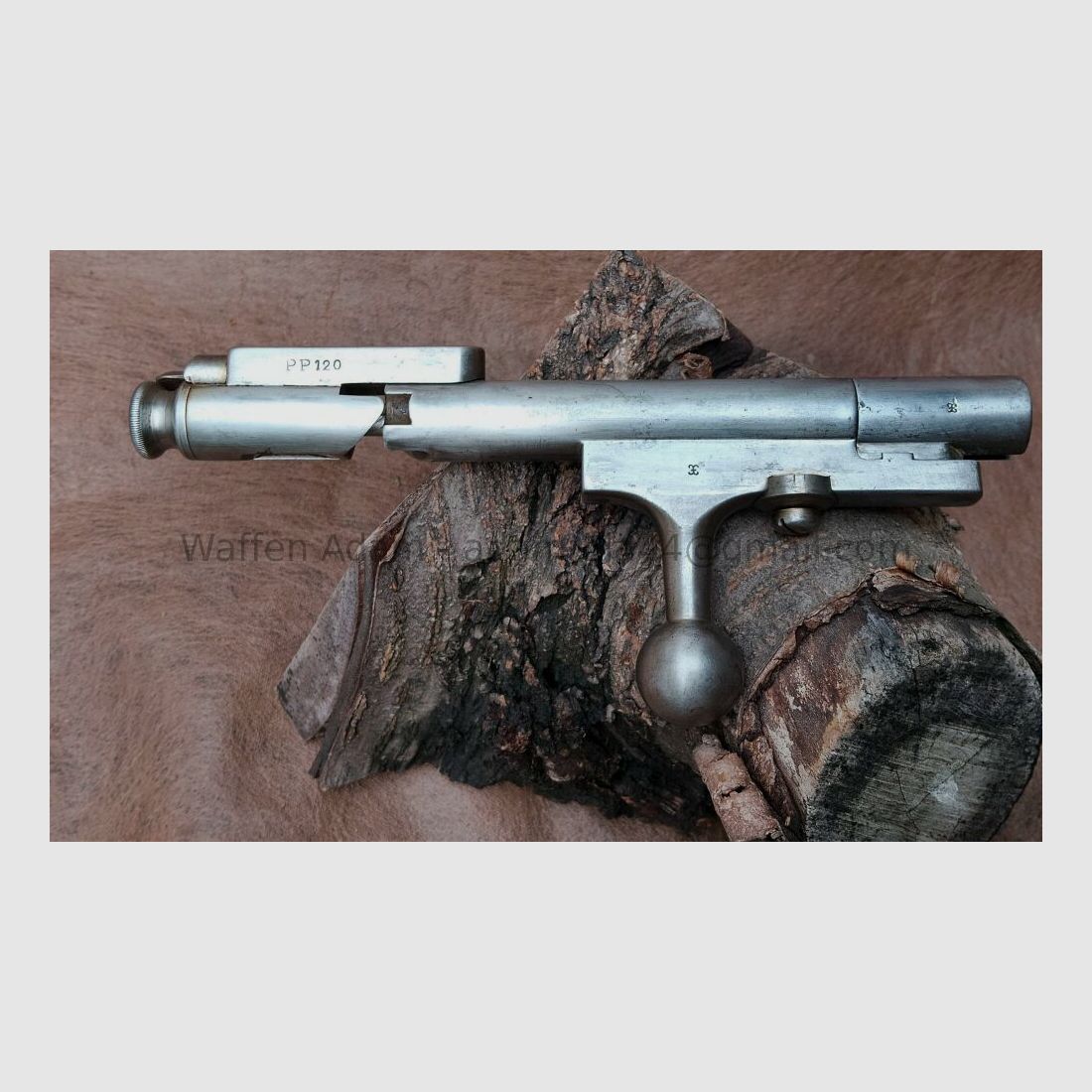 Steyr	 Kropatschek 1889