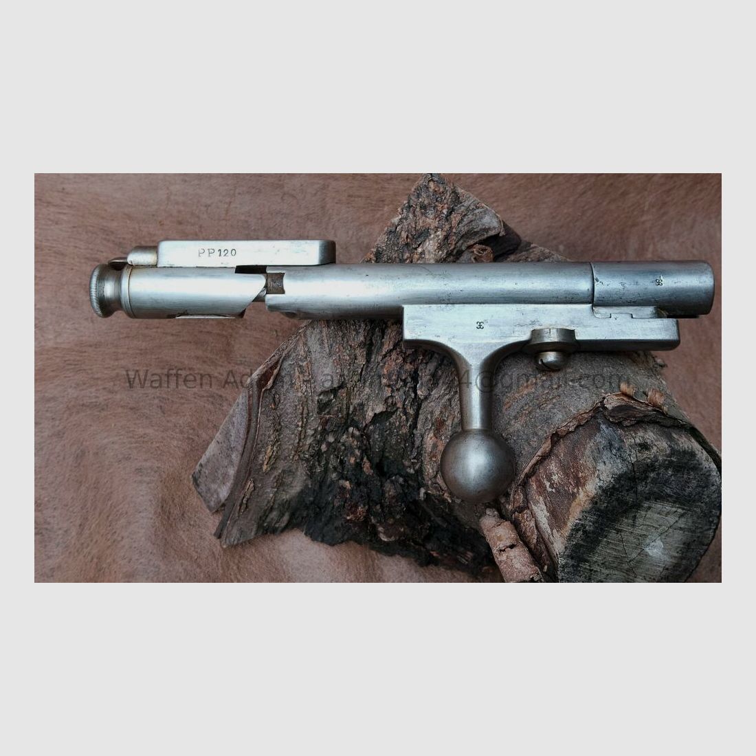 Steyr Kropatschek 1889