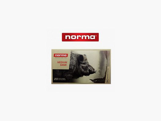 Bala Norma 30-06 plastic Point 180gr