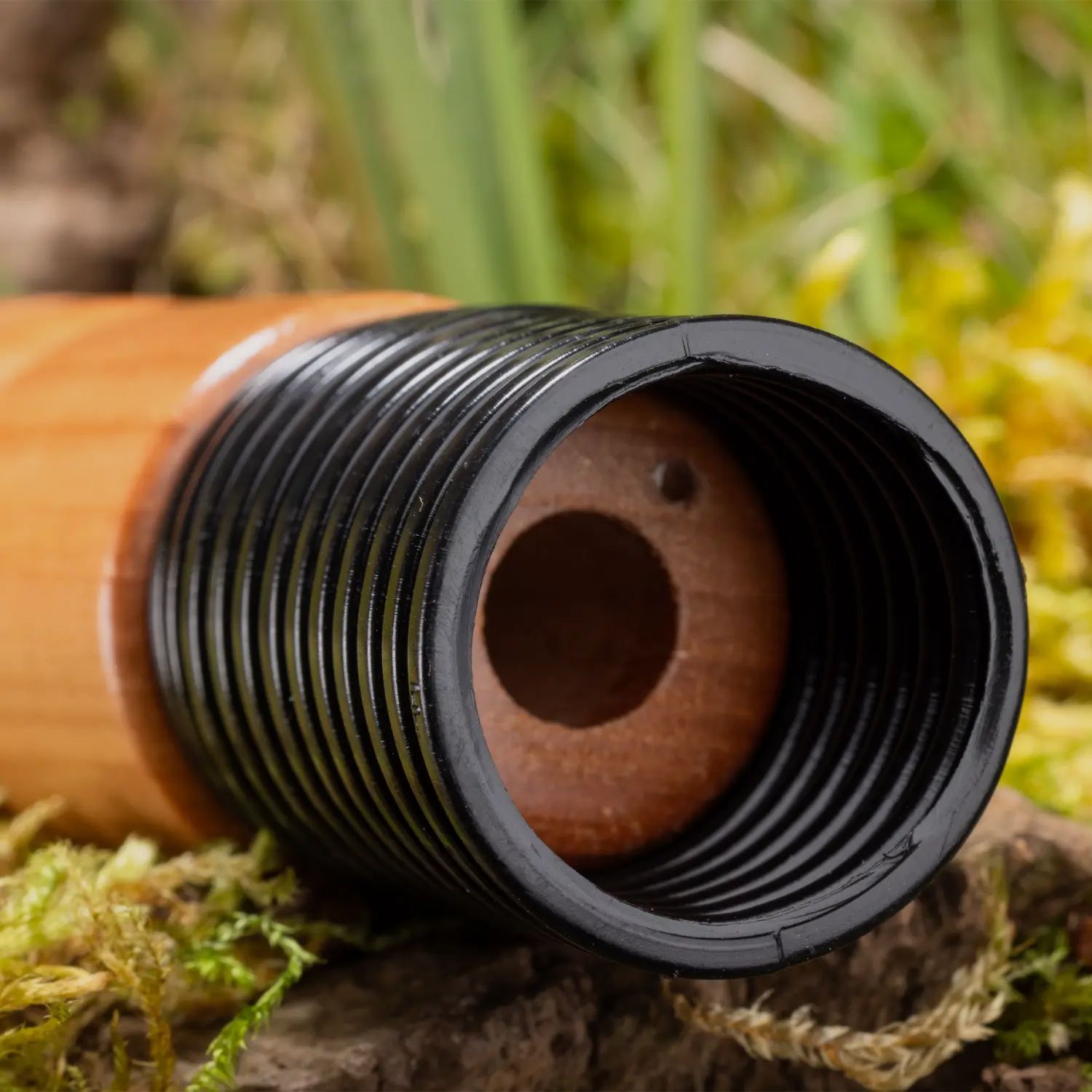 Weisskirchen Rabenkrähenlocker