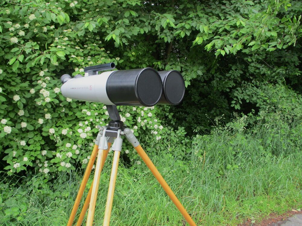 Miyauchi Mod. BJ100i