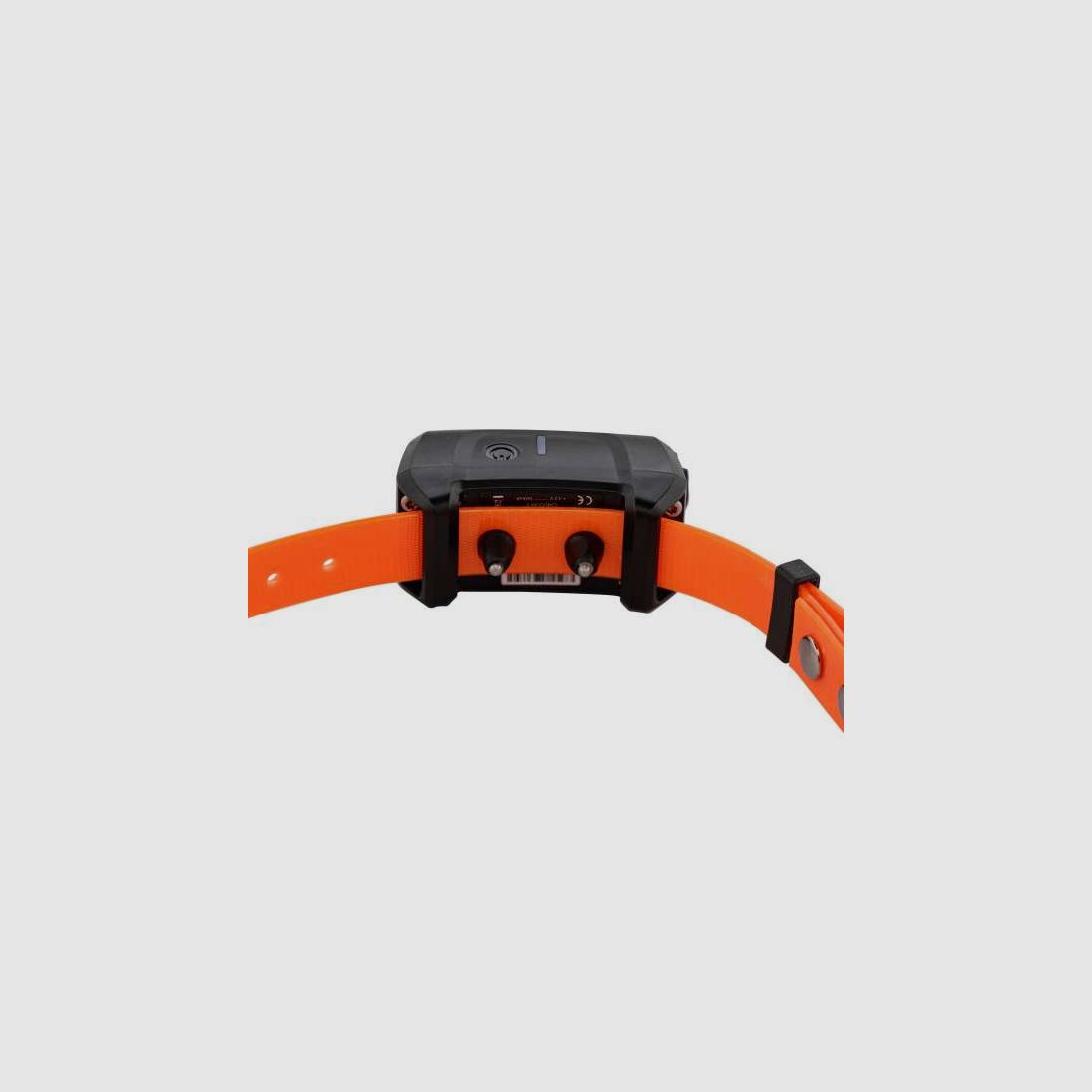 Pack Canicom 5.800 pour deux chiens | Num'Axes, image 6 sur 9