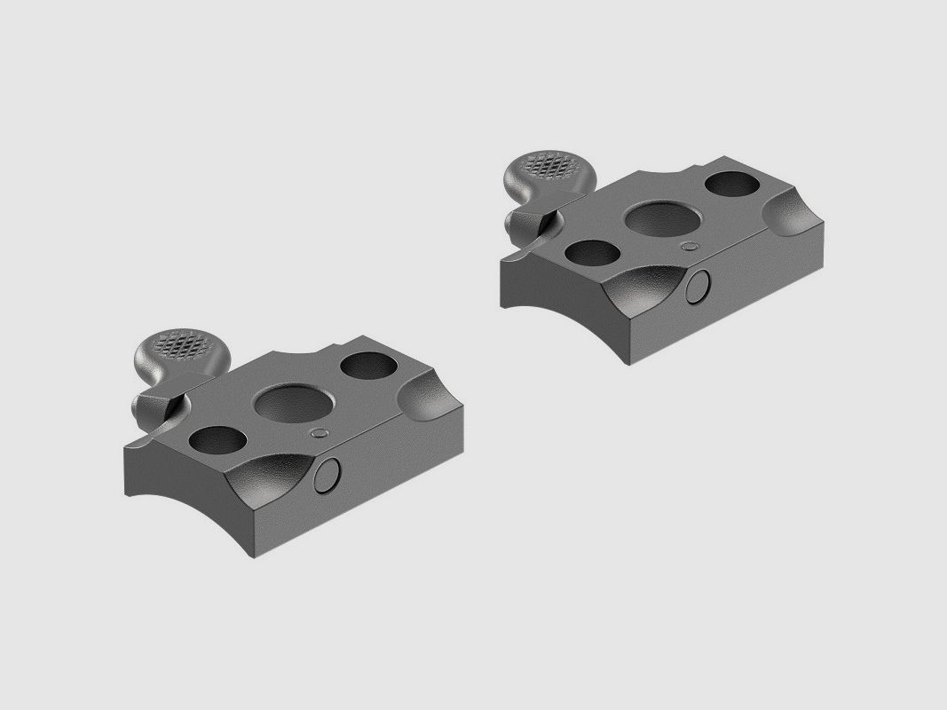 Montage LEUPOLD QR Sauer 90/200 - 50061