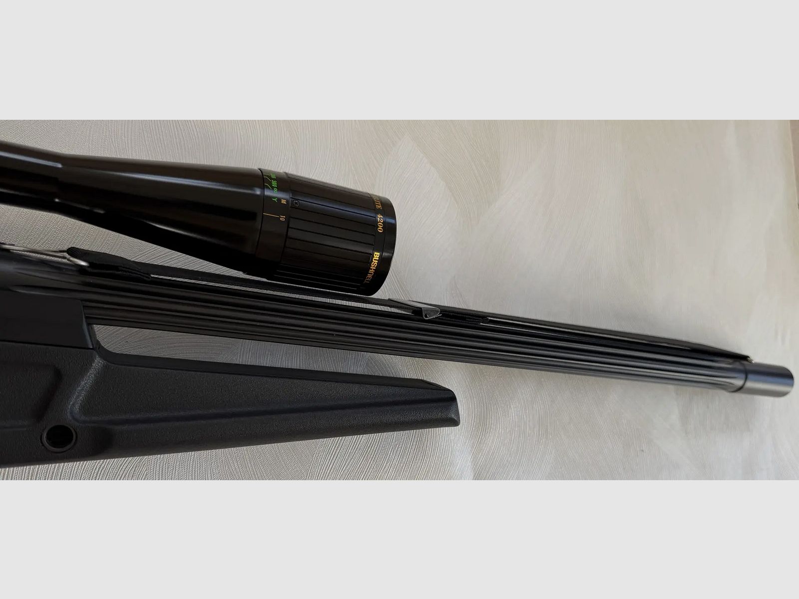 Blaser R93 LRS2 im Kaliber .308 Win. mit Bushnell Elite 6-24×40