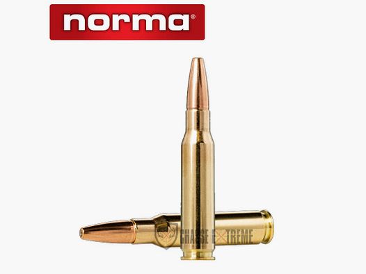 20 cartridges NORMA Cal. 308 Win-180gr Vulkan