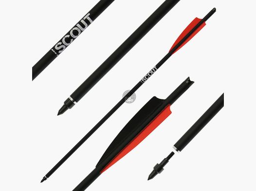 [Vorteilspack] Armbrustbolzen | X-BOW FMA Scout - 22 Zoll - Hybridbolzen - 24 Stück