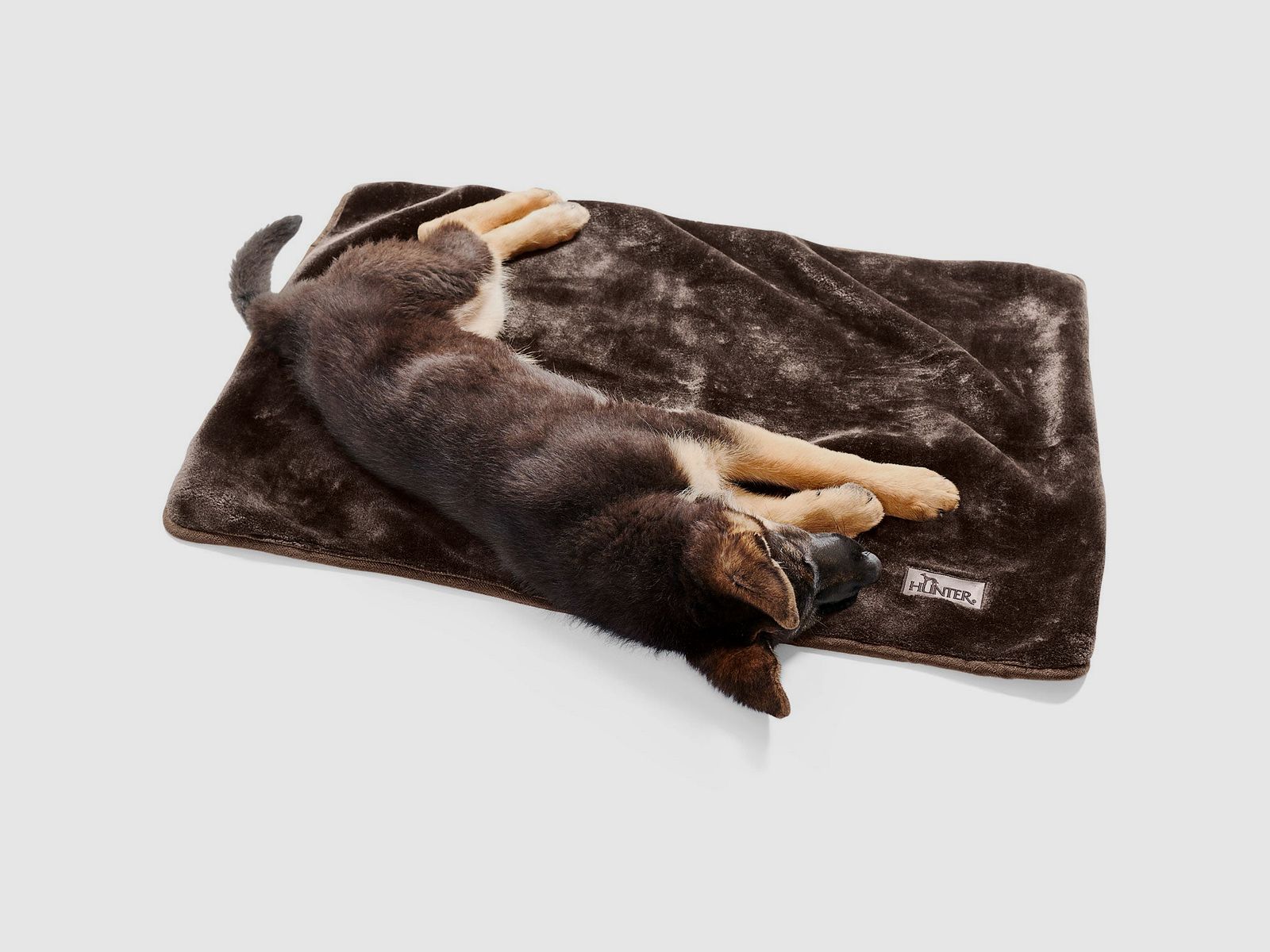 Hunter Hundedecke Konstanz