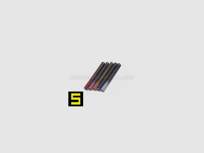 Eemann Tech CZ Hammerfeder-Set
