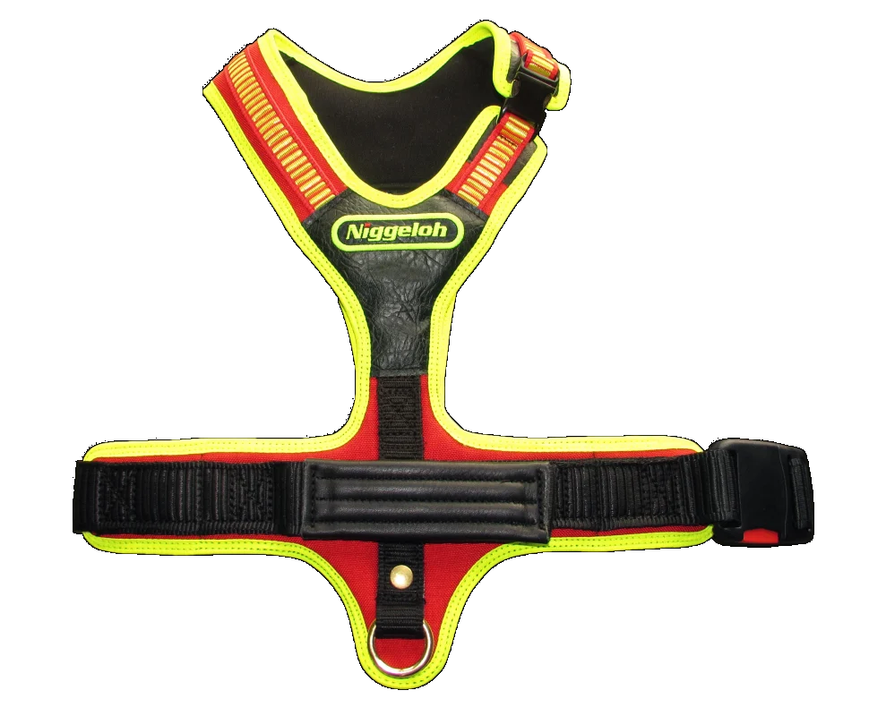 Dog harness XL FOLLOW Sport Plus Niggeloh
