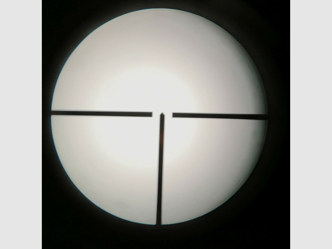 Merkel 32 with Zeiss ZF 6x42 (Target 6), Q1 stamp