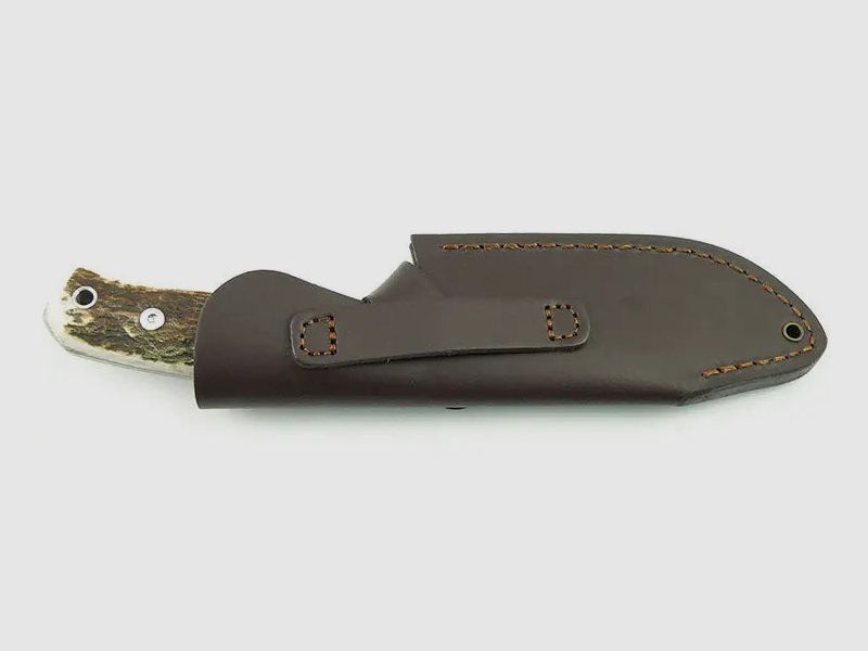PUMA IP cervato, stag