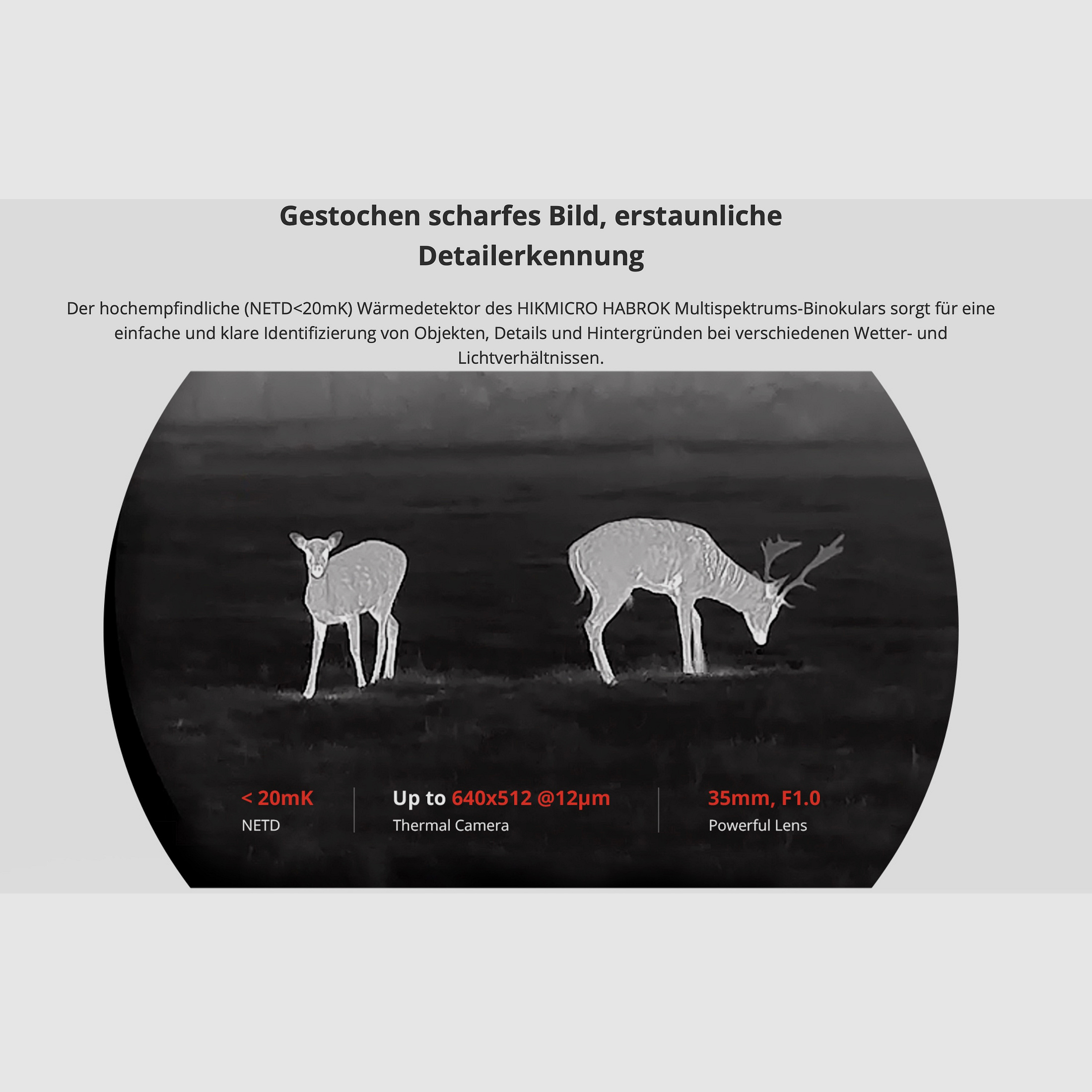 Hikmicro Binocular Habrok HQ35LN thermal imaging/night vision/digital camera 940Nm 2560 x 1440