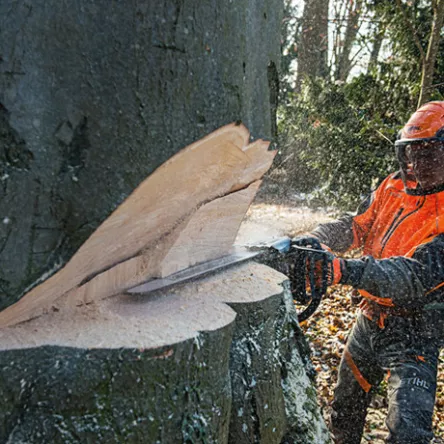 STIHL MS 661 C-M; moc 7,3KM; prowadnica 71cm; łańcuch 1,6 3/8" RS, zdjęcie 4 z 5