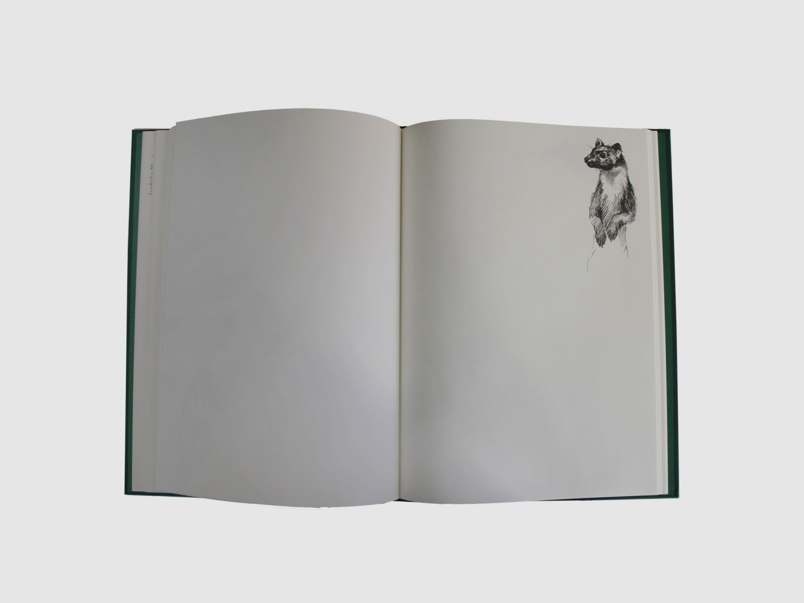 Schuss- und Jagdtagebuch