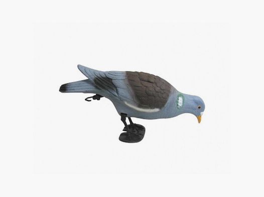 Shape of a pigeon pecking on legs