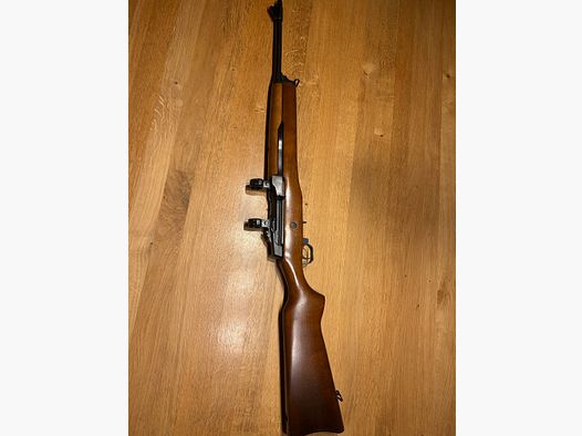 Ruger mini 14