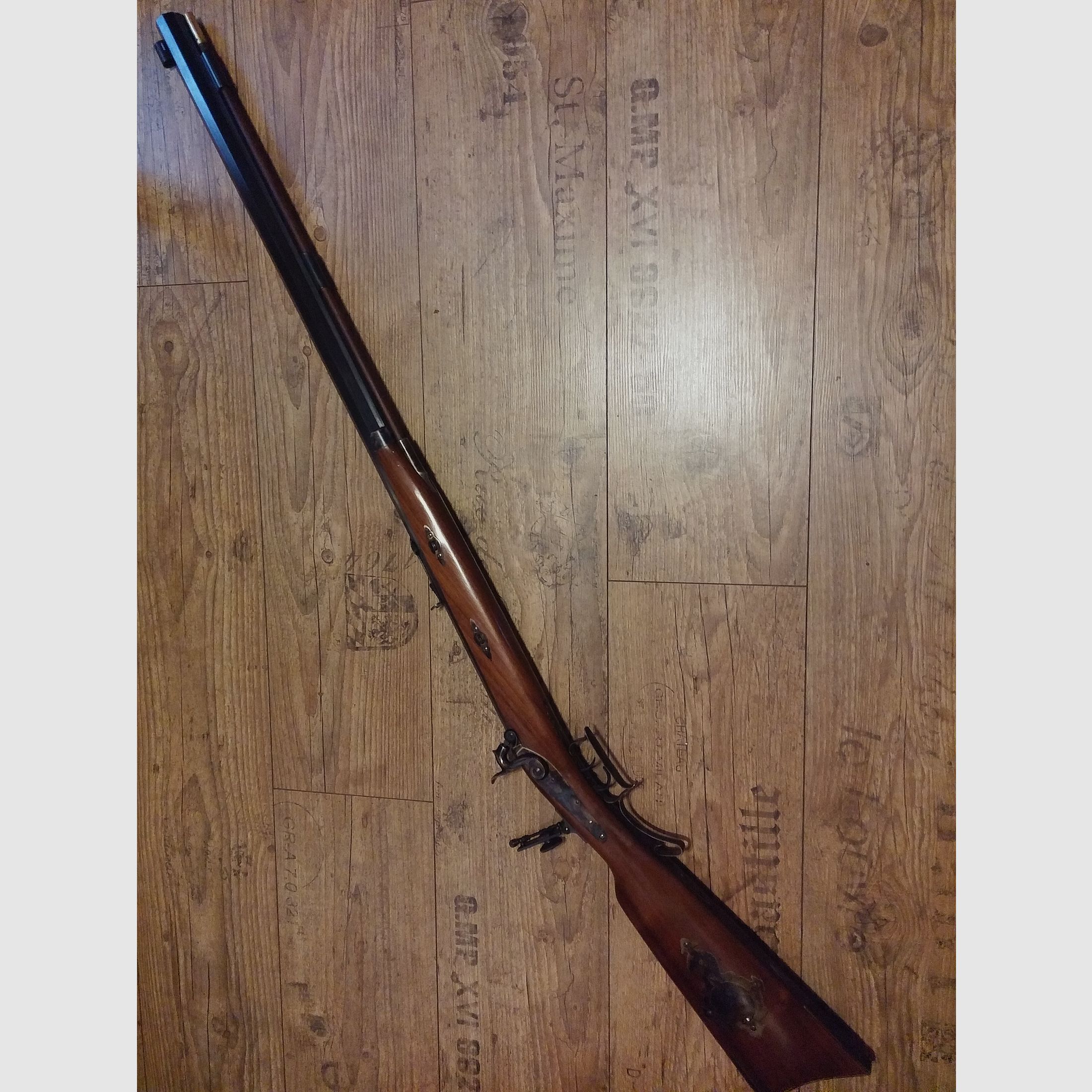 Front-loading rifle (percussion rifle) Pedersoli Tryon .45 with diopter and extensive accessory package