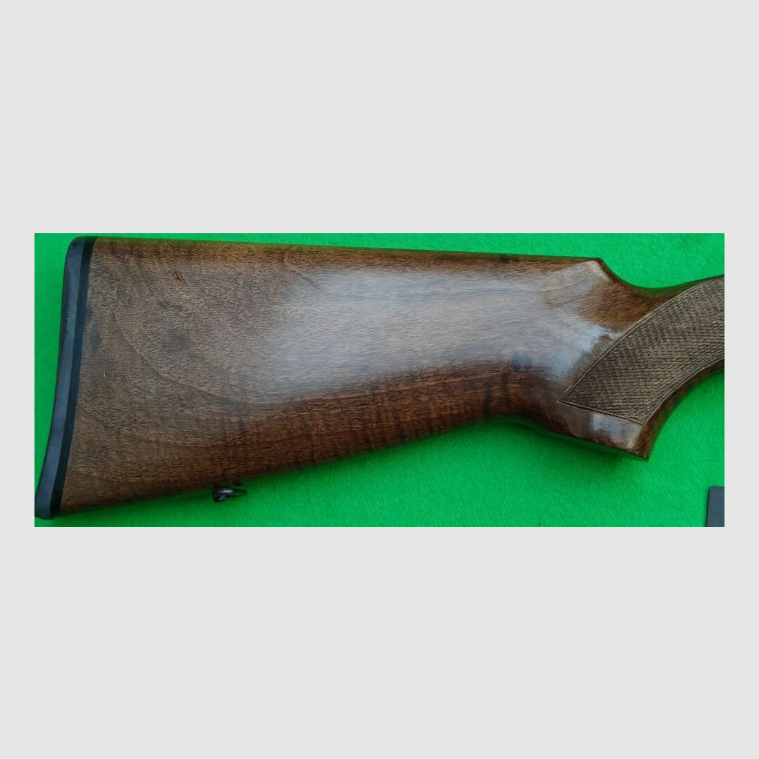 Rizzini