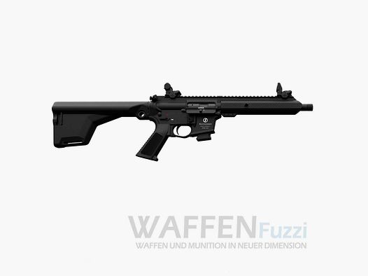 Schmeisser AR-15-9 Sport semi-automatic rifle short