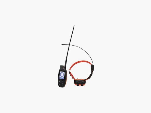 PACK CANICOM GPS
