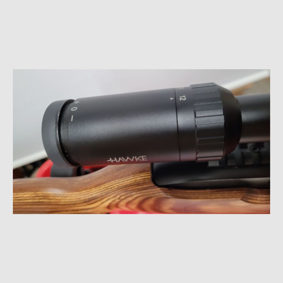 Ruger 10/22