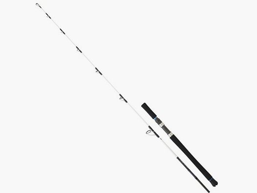DAIWA ROD SALTIST VJ 63 HS OS