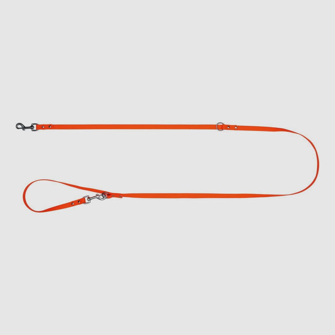 Blaser Dog Leash Professional