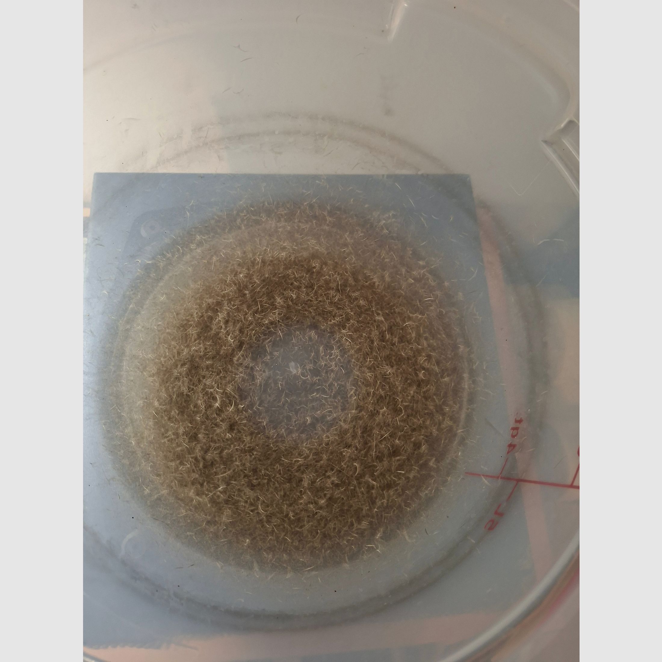 Macchina per lavare le capsule LEM Deluxe di ST