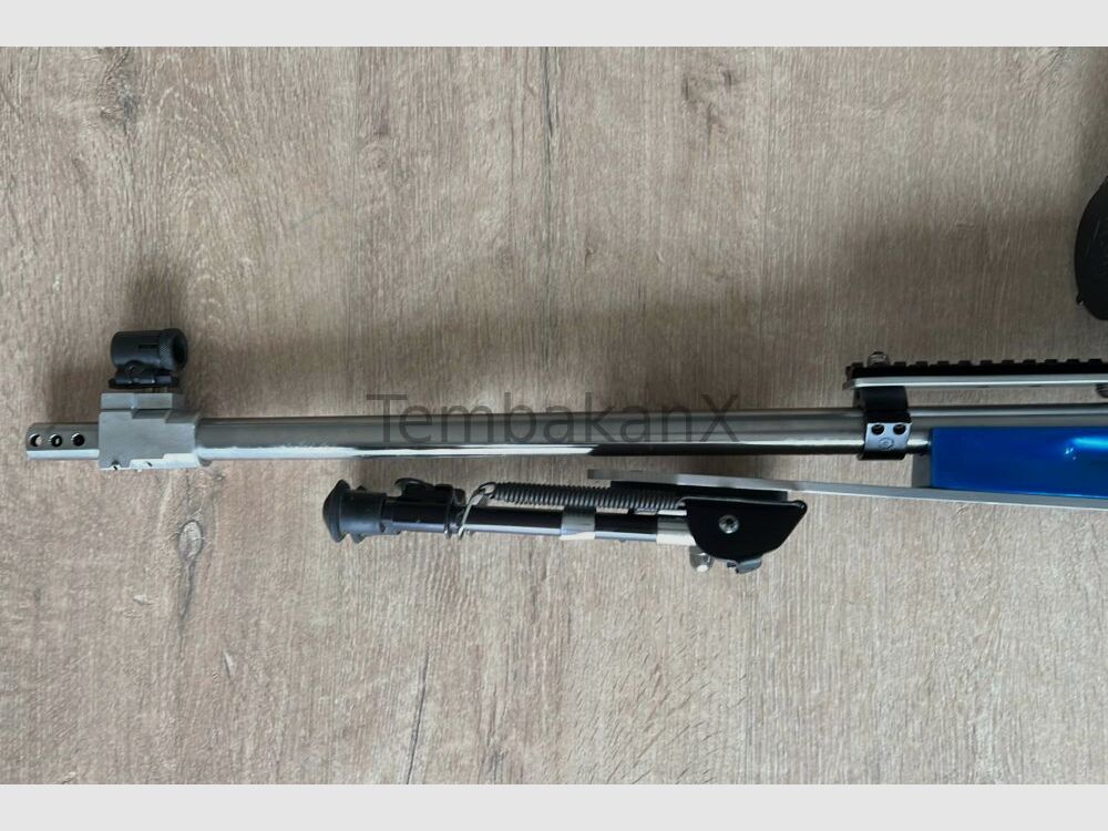 Steyr Arms Modified .308Win