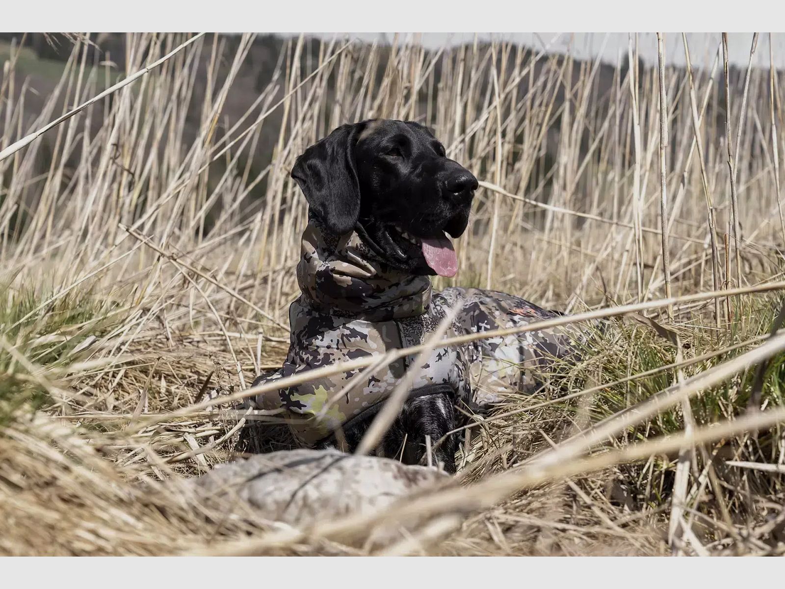 Blaser Hundeponcho HunTec Camo