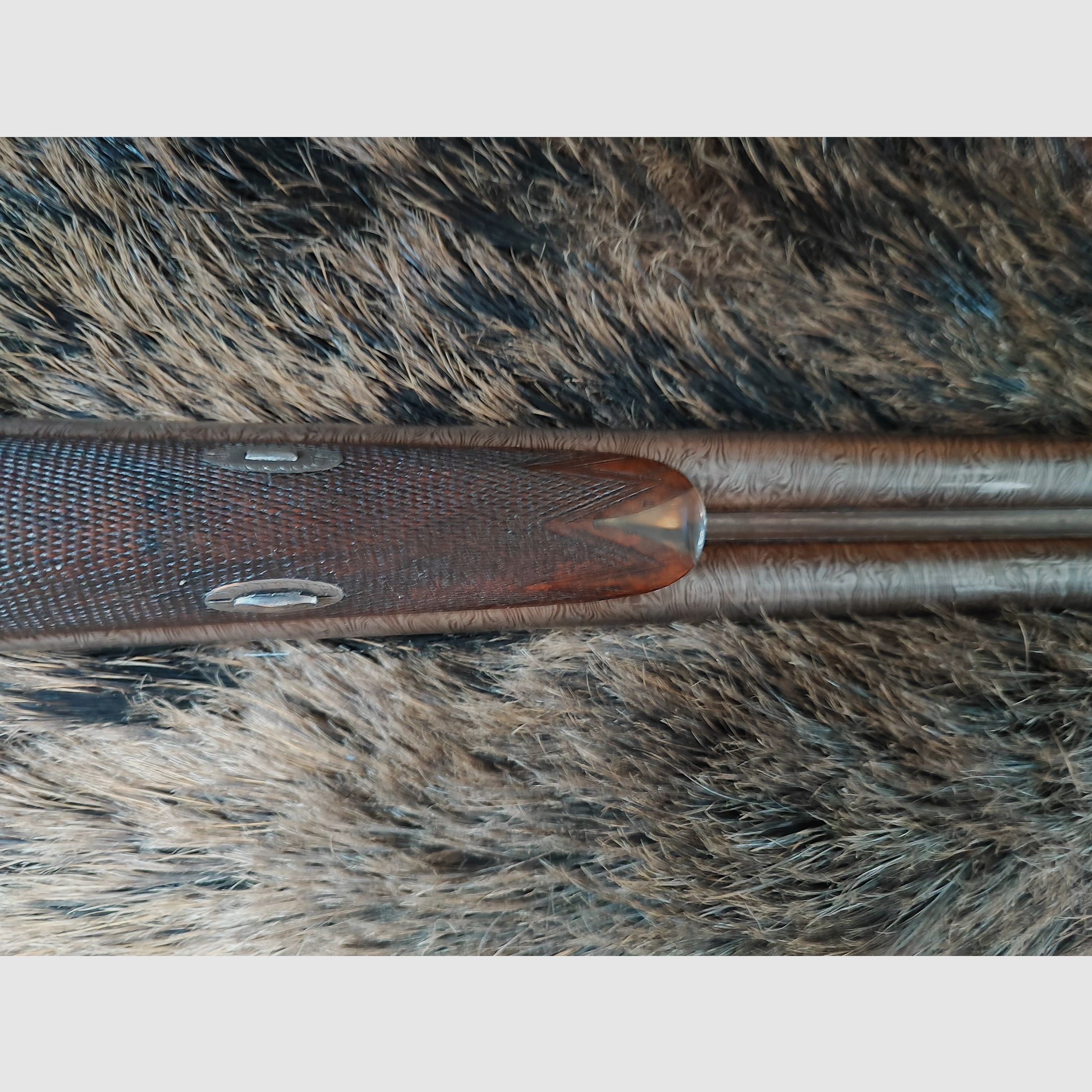 Fusil de chasse