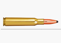 Partizan PPVI 30-06 Spring FMJ BT 175gr(20) A-449