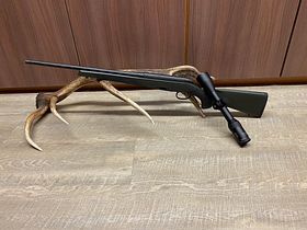 Steyr Mannlicher CL2 SX, mit GPO Spectra 6x 2-12x50i