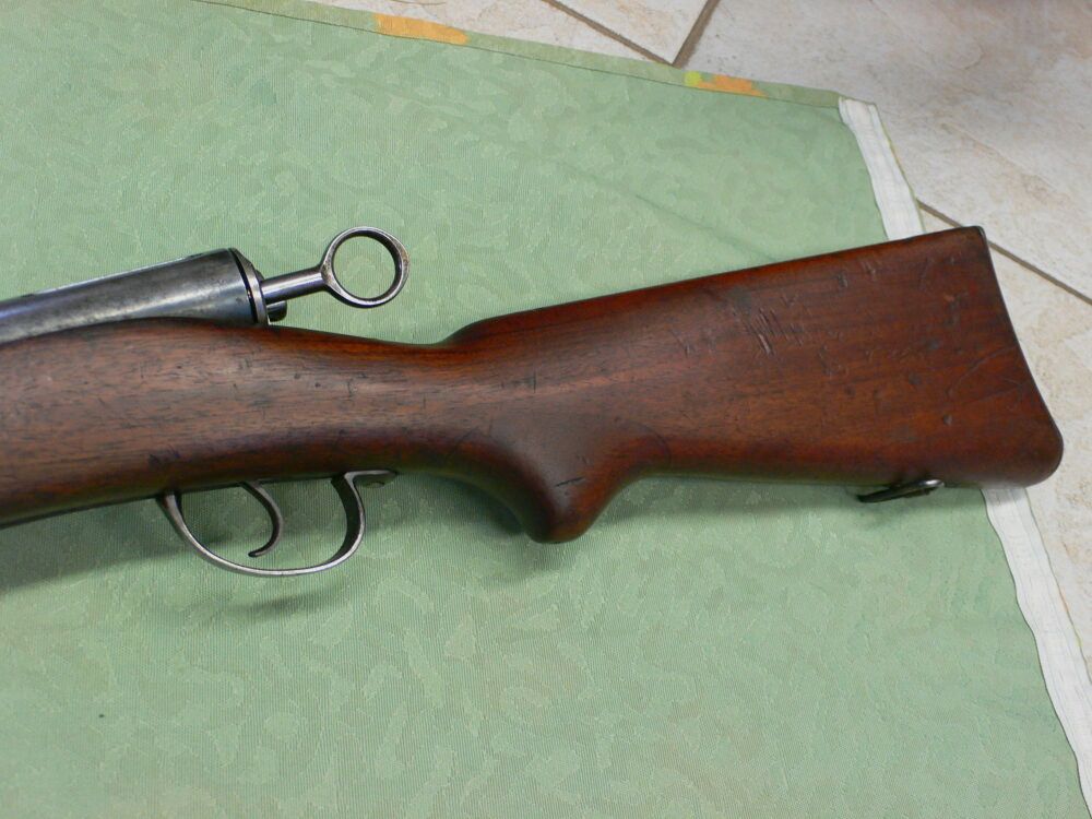 Swiss Arms Gewehr 89/96