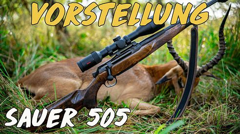 Vorstellung - Sauer 505