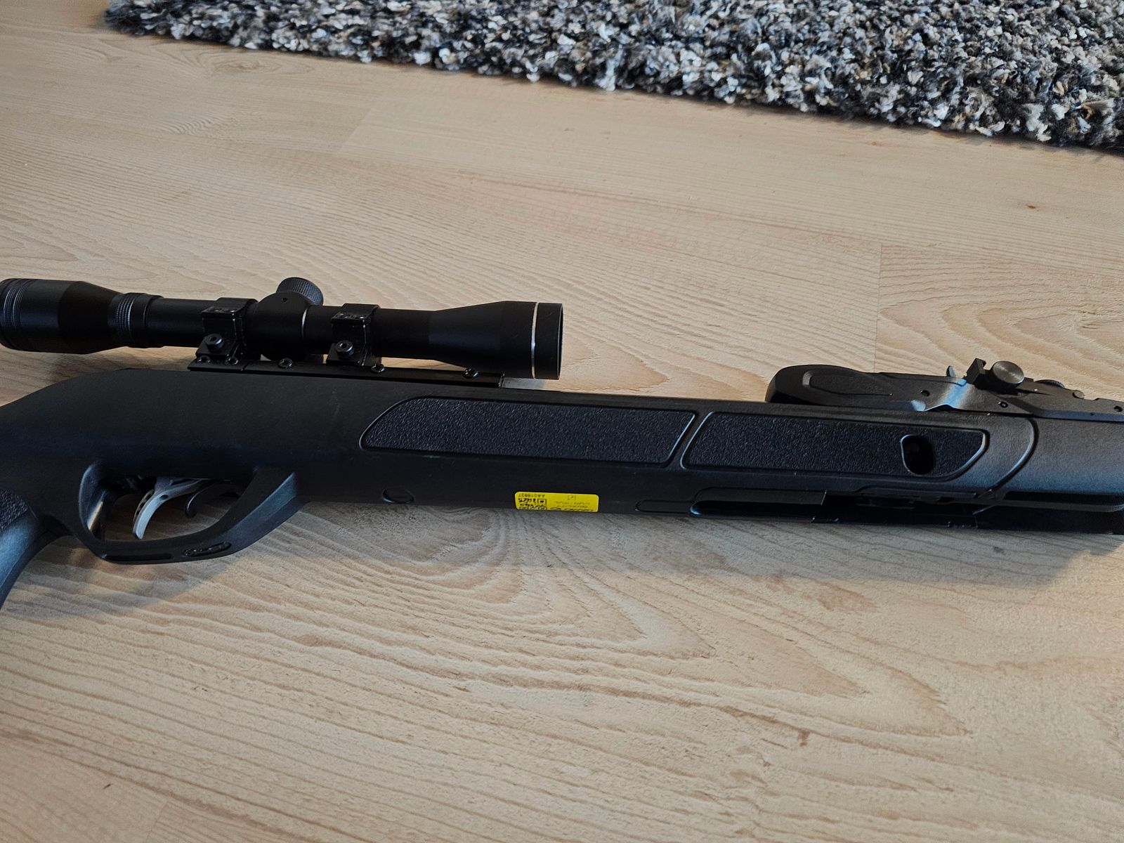 Gamo 10 Schuss Luftgewehr