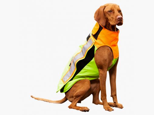 il Lago Passion Gilet di Protezione per Cani | 50