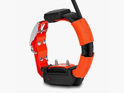 Collier supplémentaire Gps Dogtrace X25-t comprend chargeur