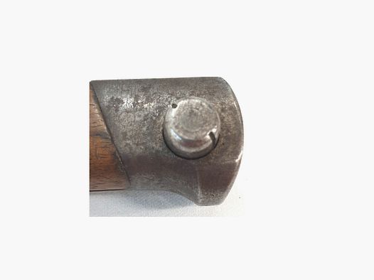 STEYR 1895