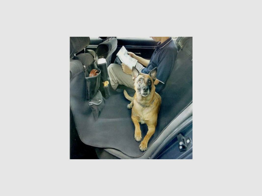 Beschermhoes voor achterstoelen van de auto