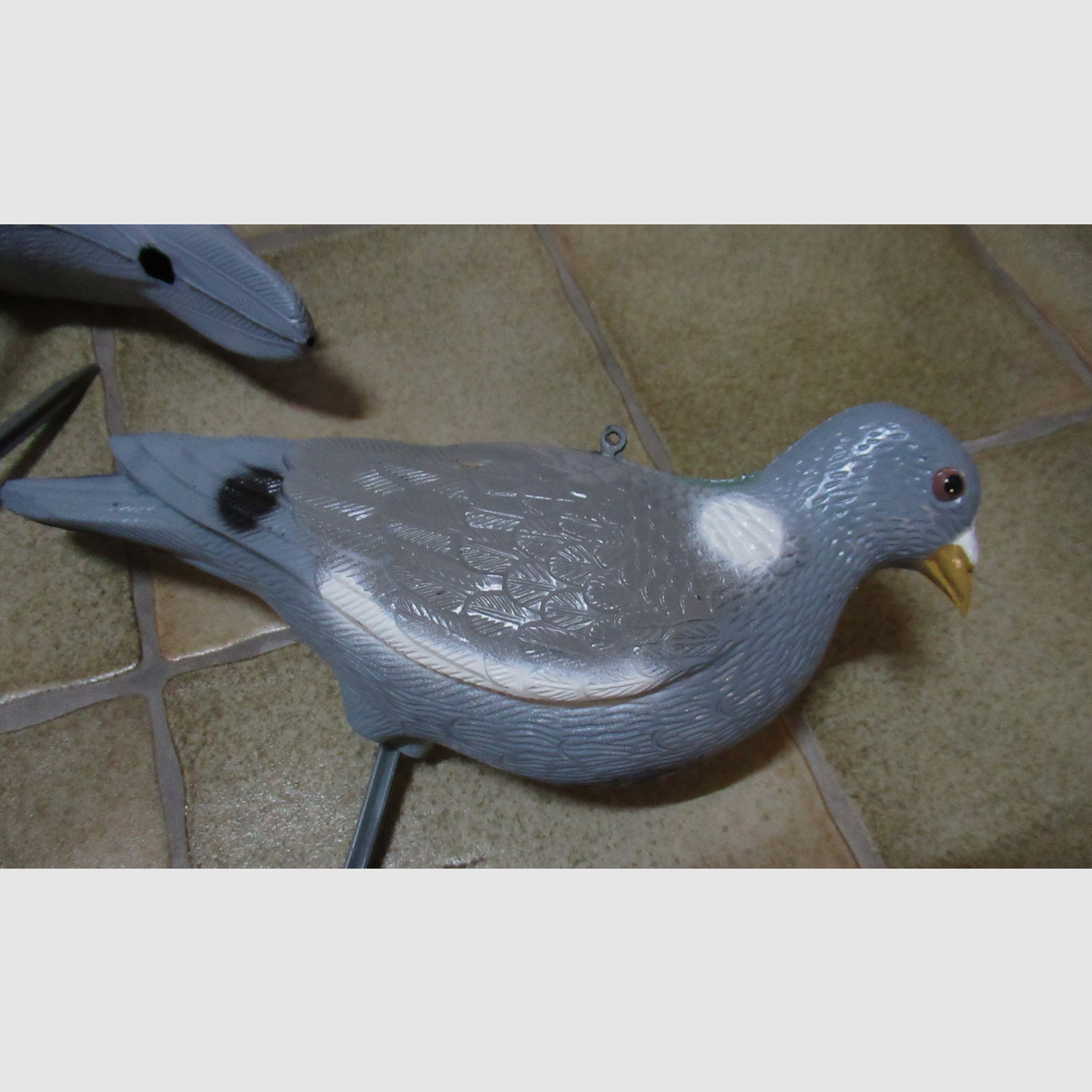 10 decoy pigeons + camouflage net