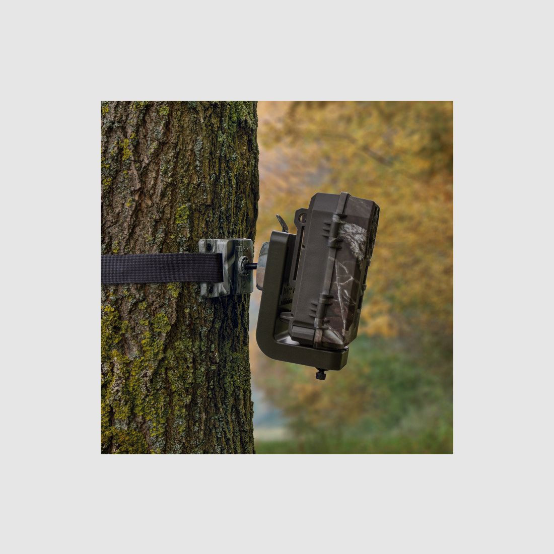Dörr Haltesystem für SnapShot Multi camou