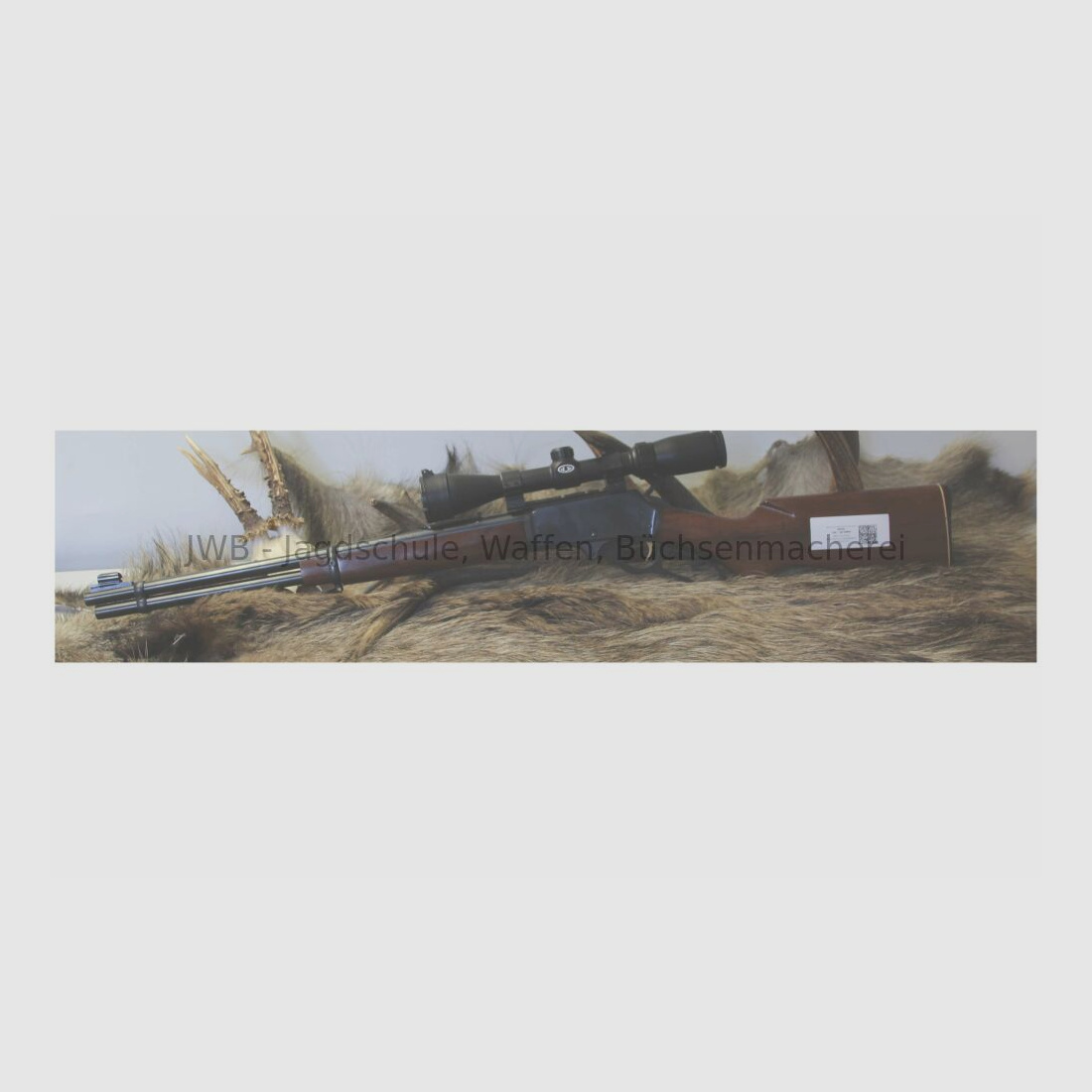 Marlin 336 with Bushnell .30-30Win