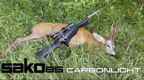 Sako 85 Carbon Light .308 Win Roebuck Hunt