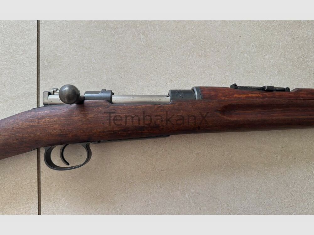 Carl Gustafs Mauser 96 6.5x55SE