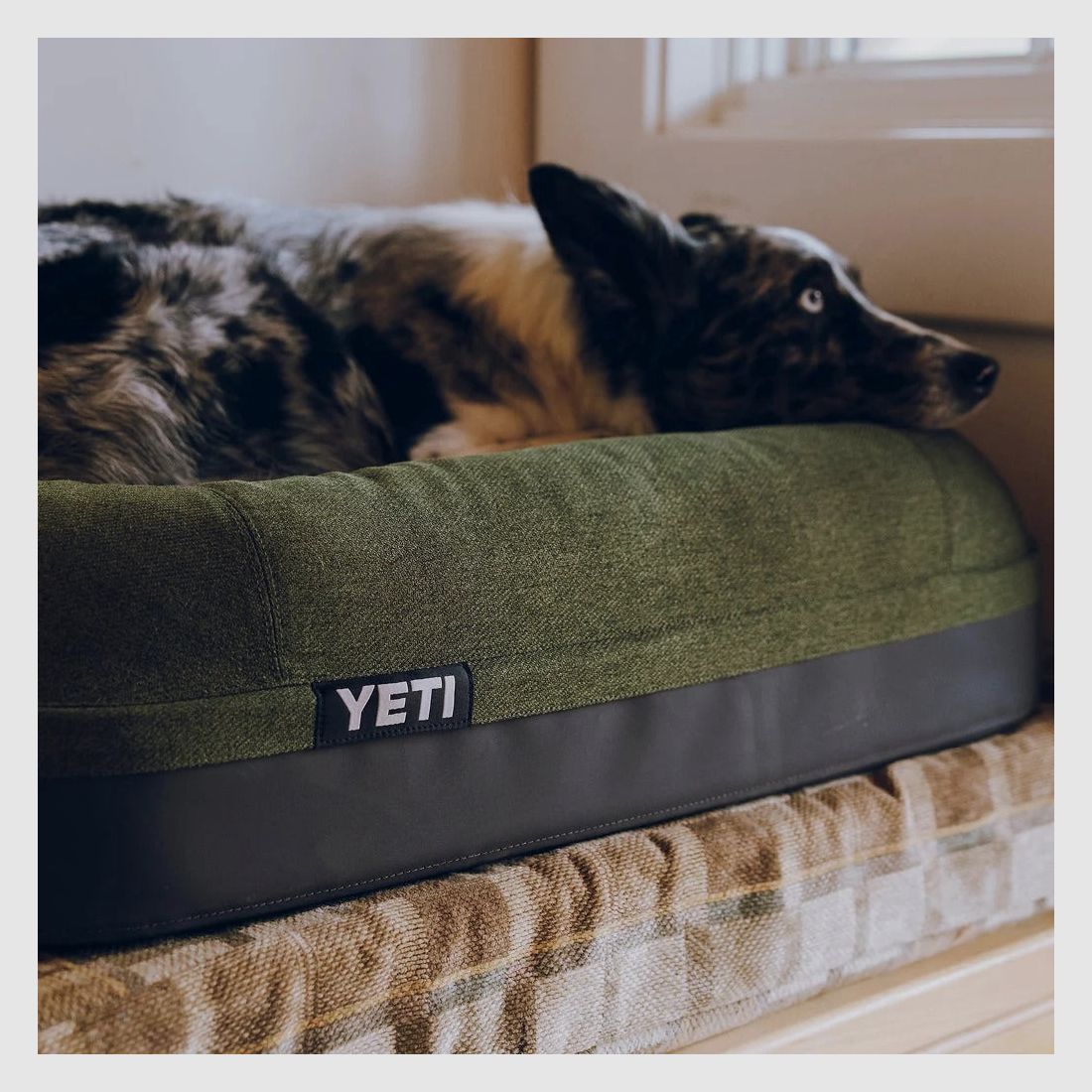 YETI® Boomer Lit pour Chien Small - Olive, image 11 sur 12