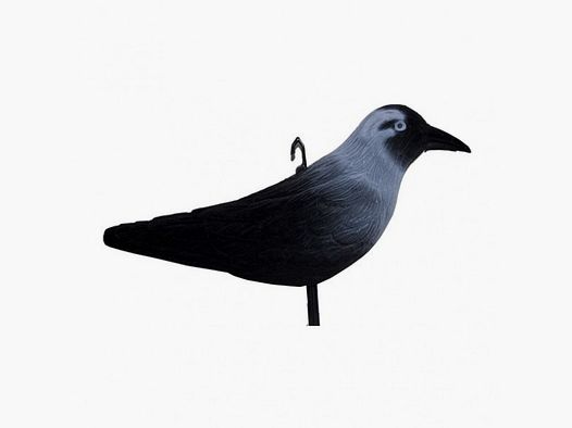 Krähenlocker beflockt 32 cm