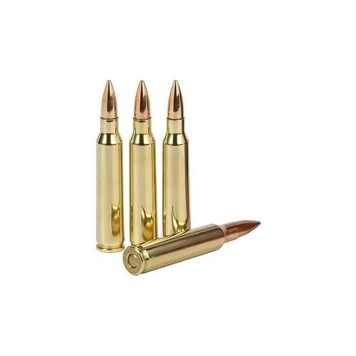 Munizioni PMC .223 Rem. FMJ 55g (serie 223A-1229), immagine 3 di 3