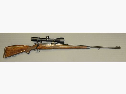 Sauer Weatherby