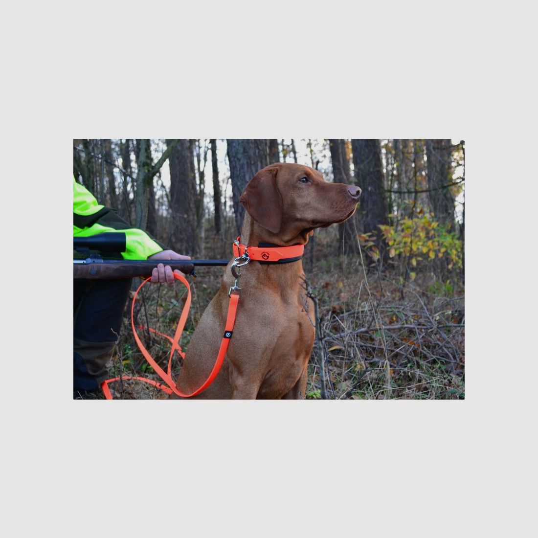 Farm-Land Hunde Schweißhalsung Signalorange